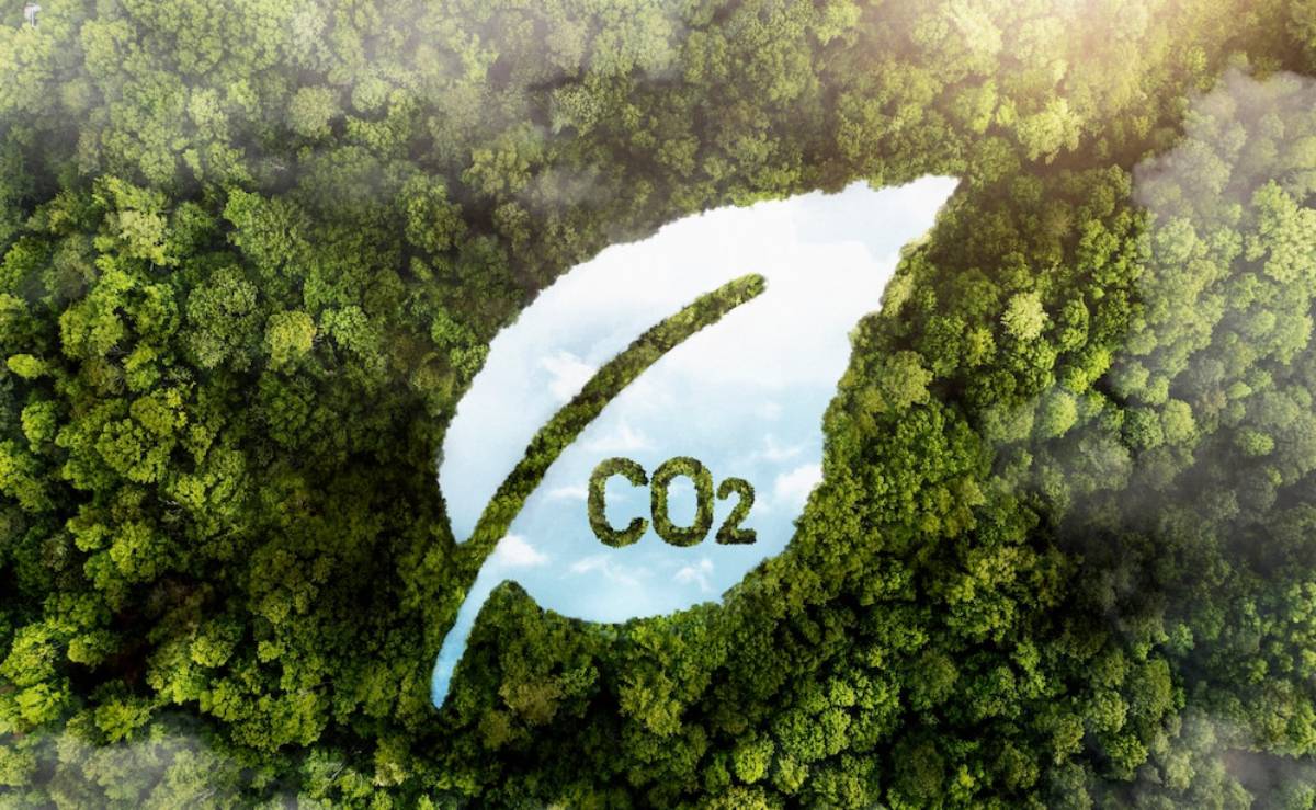  Aerial view of a dense forest forming the shape of a leaf with CO2 written inside.
